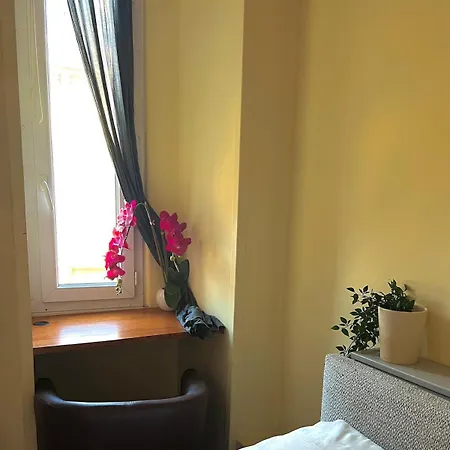 Panter Properies * קאן